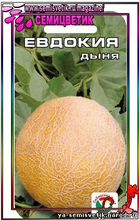 дыня евдокия
