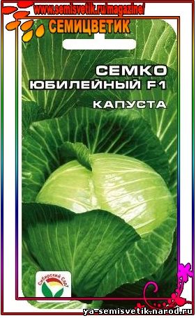 капуста белокочанная Семко Юбилейная