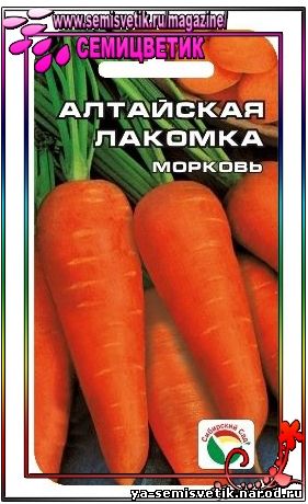 МОРКОВЬ АЛТАЙСКАЯ ЛАКОМКА