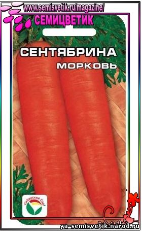 МОРКОВЬ СЕНТЯБРИНА