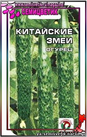 огурец китайские змеи