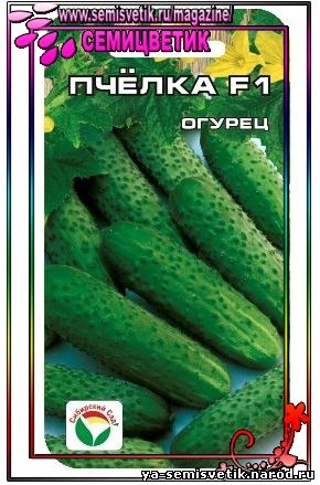 огурец пчелка