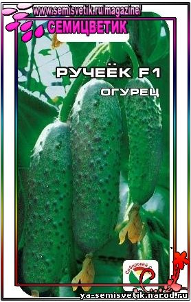 огурец Ручеек
