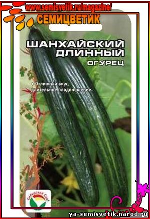 огурец шанхайский длинный
