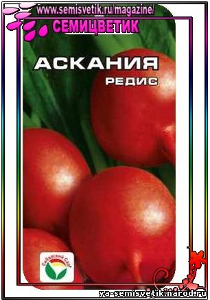 редис Аскания