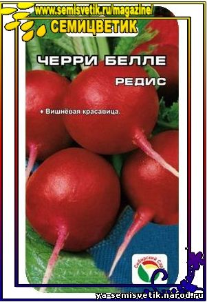 редис черри белле