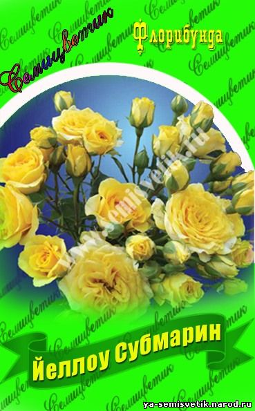 роза еллоу субмарин
